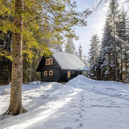 Cosy Lodge Pokljuka Goreljek Luaran gambar
