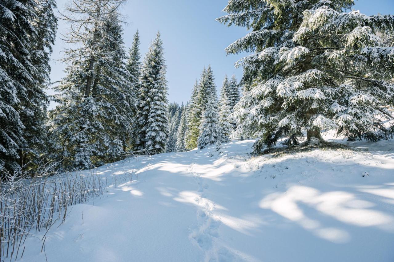 Cosy Lodge Pokljuka Goreljek Luaran gambar