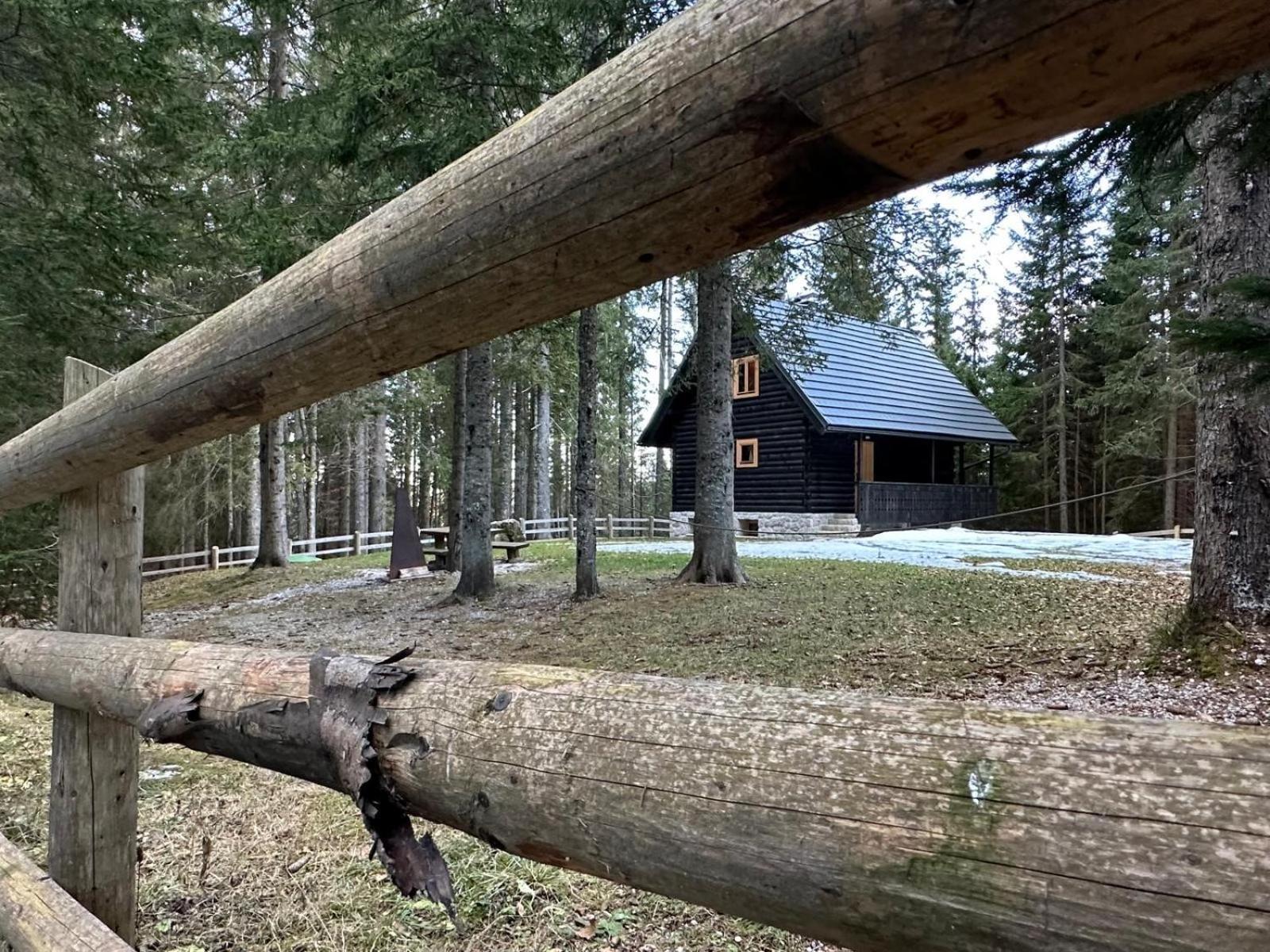 Cosy Lodge Pokljuka Goreljek Luaran gambar