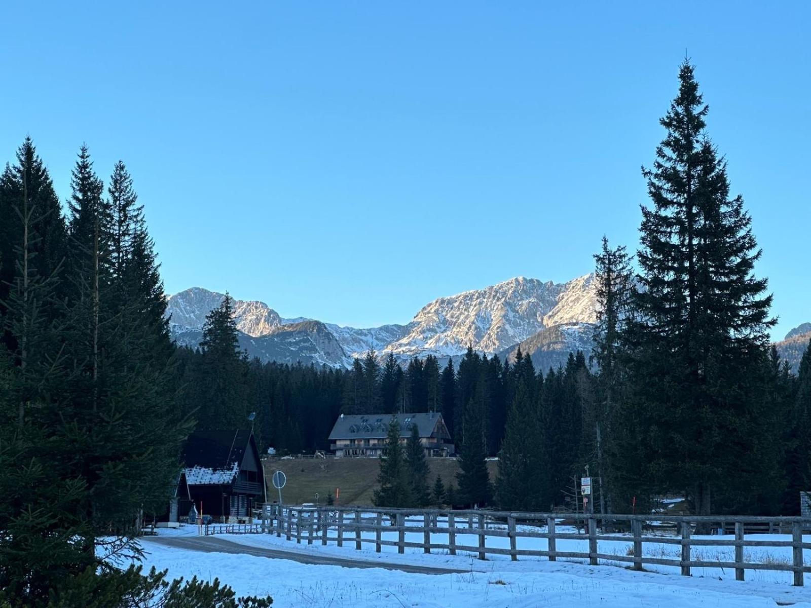 Cosy Lodge Pokljuka Goreljek Luaran gambar