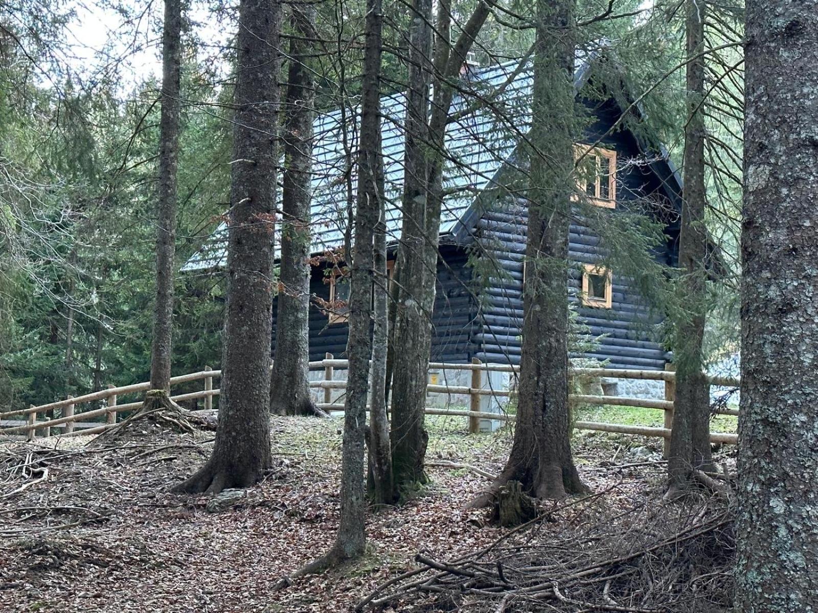 Cosy Lodge Pokljuka Goreljek Luaran gambar