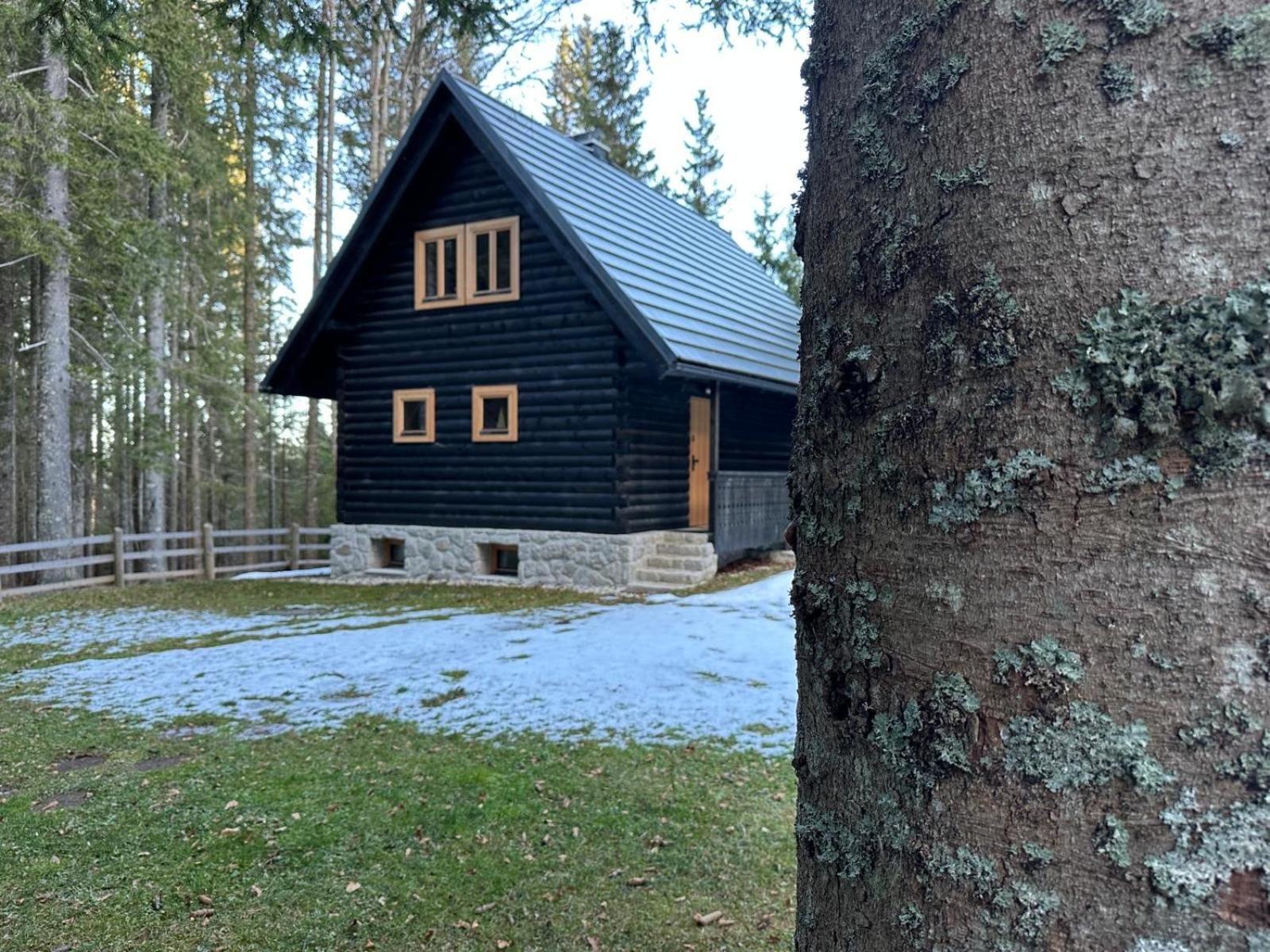 Cosy Lodge Pokljuka Goreljek Luaran gambar
