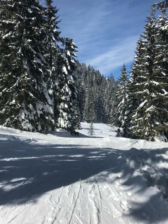 Cosy Lodge Pokljuka Goreljek Luaran gambar